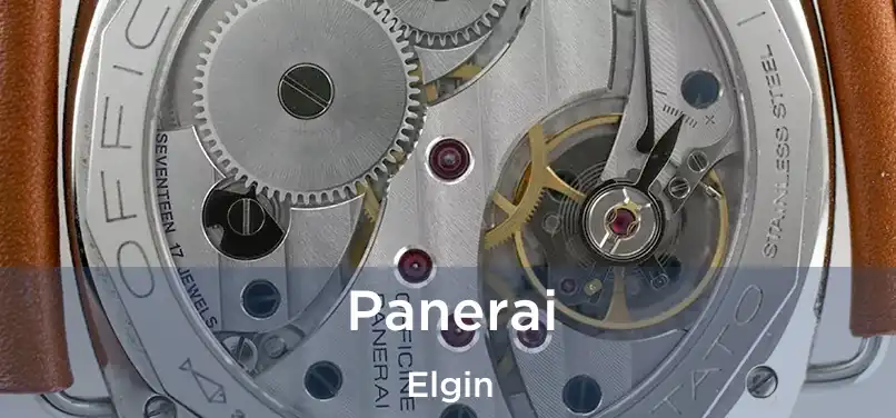 Panerai Elgin