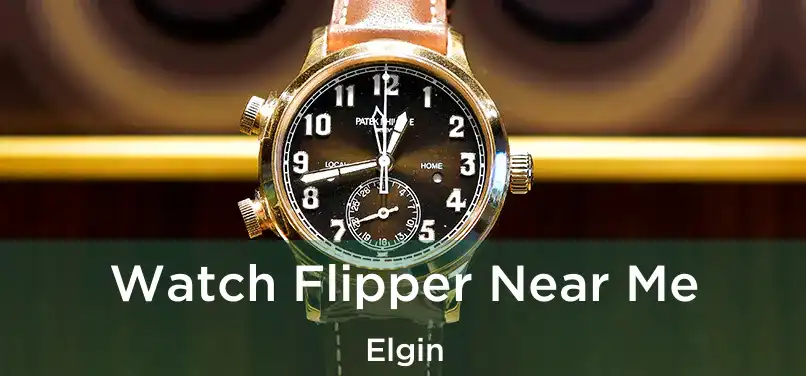 Watch Flipper Near Me Elgin